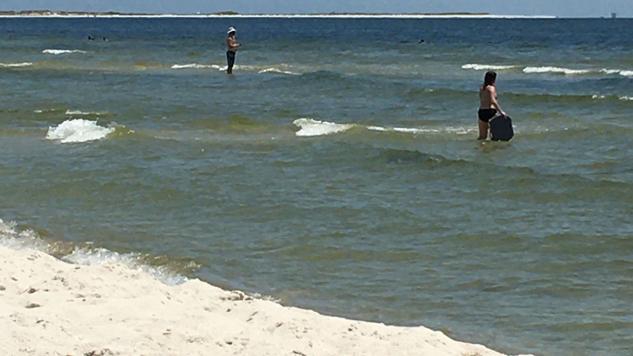 Photo of Others in Dauphin Island