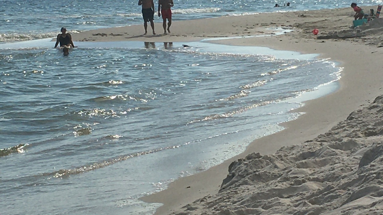 Photo of Others in Dauphin Island