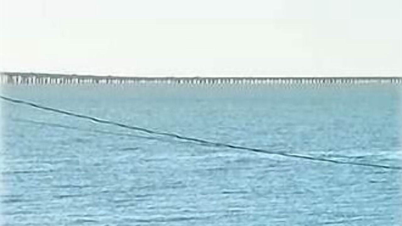 Photo of Outdoor in Slidell