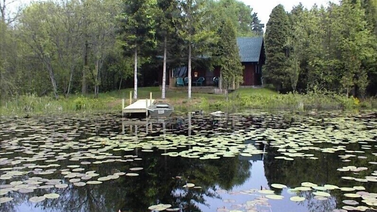 Photo of Outdoor in Manistee
