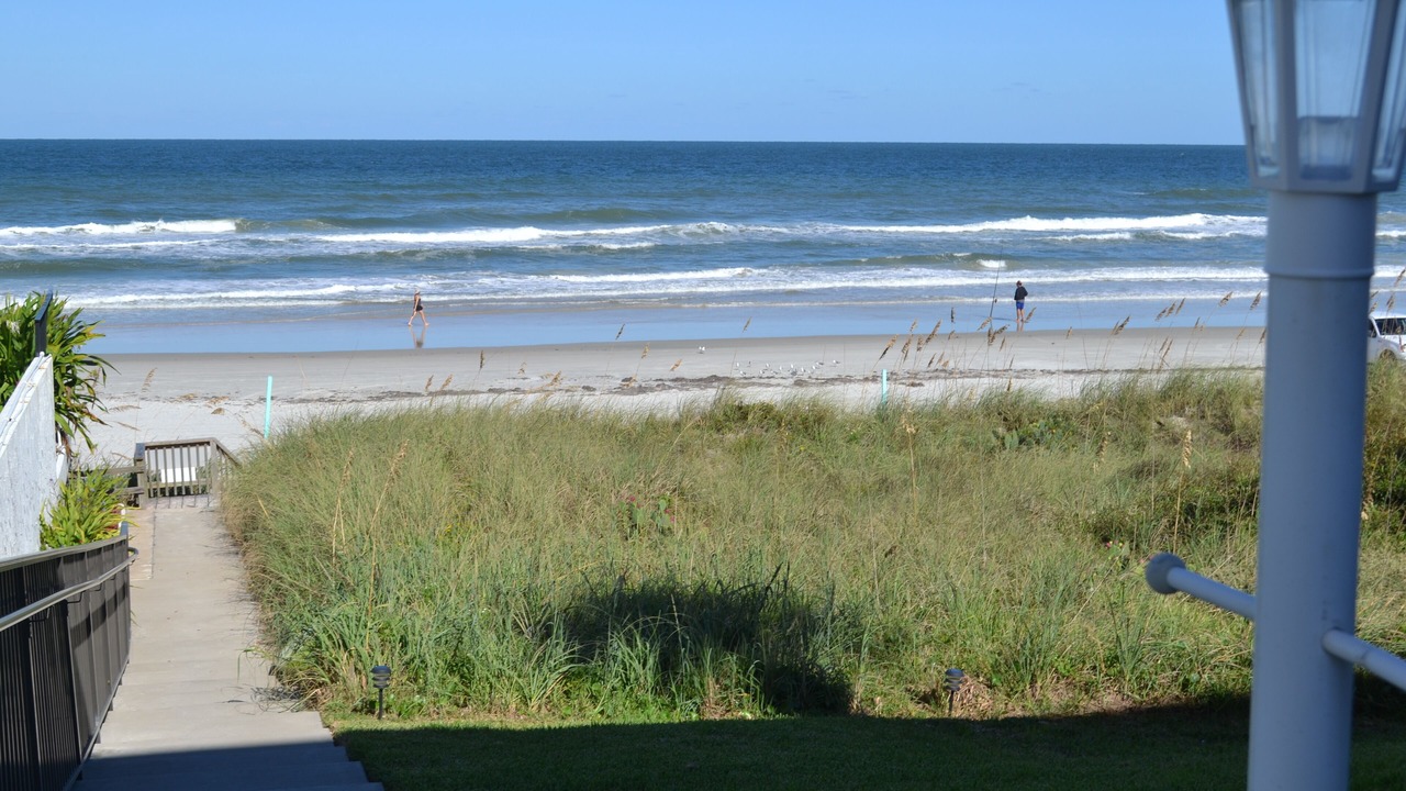 Photo of Others in Daytona Beach Shores