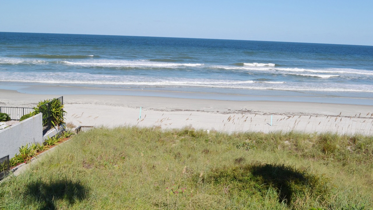 Photo of Others in Daytona Beach Shores