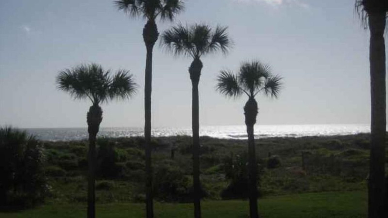Photo of Outdoor in Butler Beach