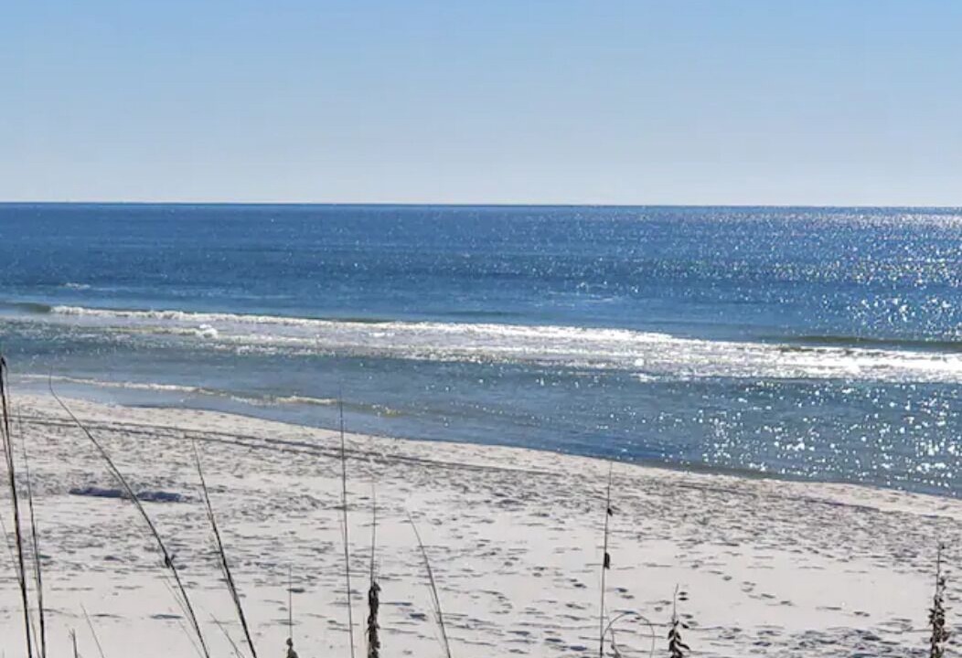 Photo of Others in Northeast Pensacola