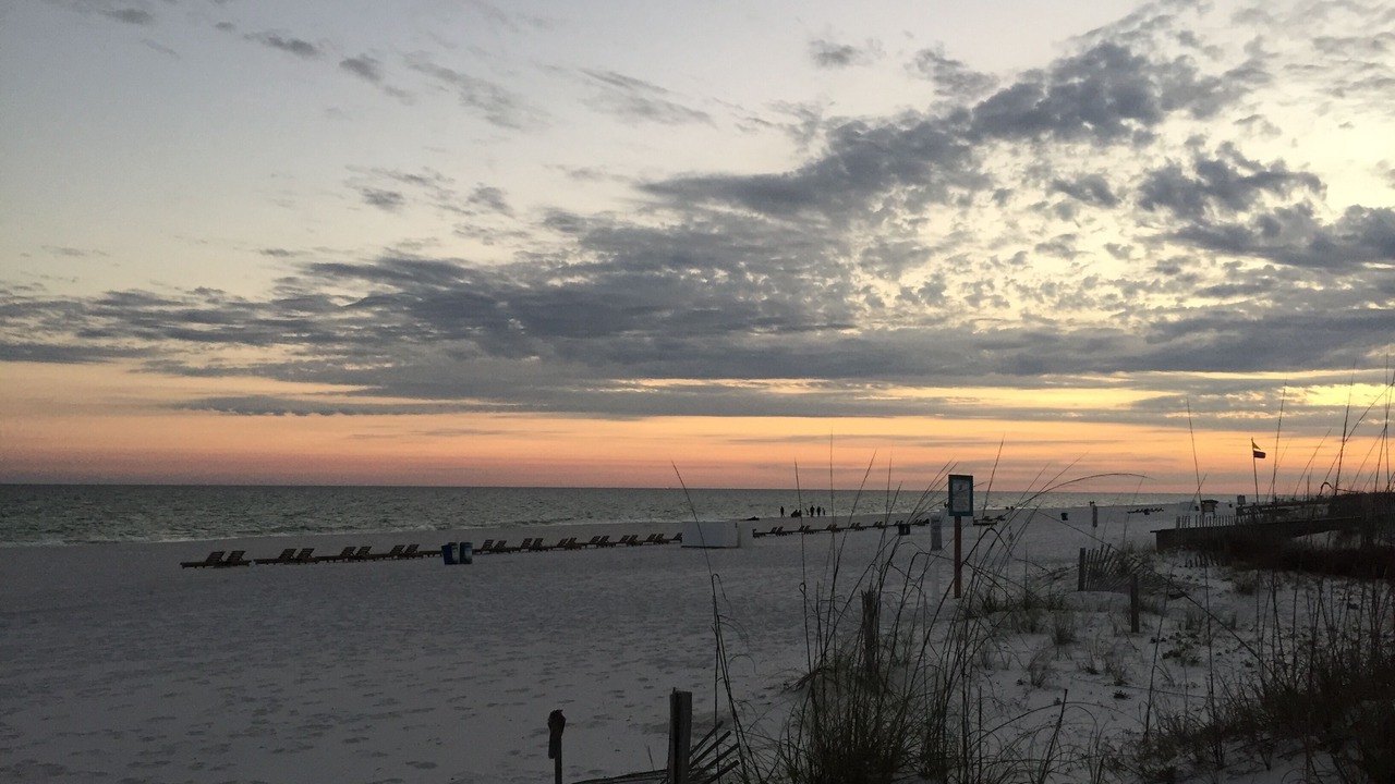 Photo of Others in Gulf Shores