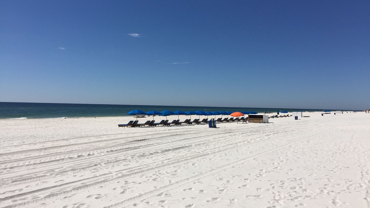 Photo of Others in Gulf Shores