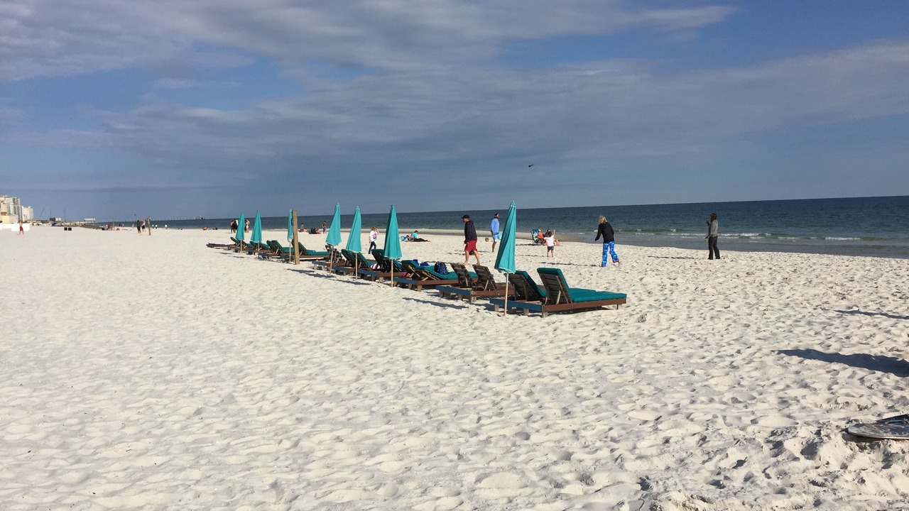 Photo of Others in Gulf Shores