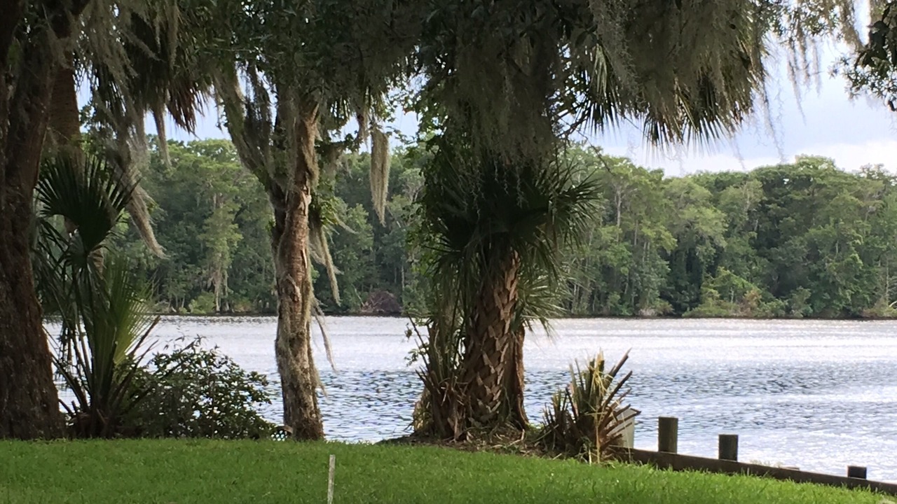 Photo of Others in Satsuma