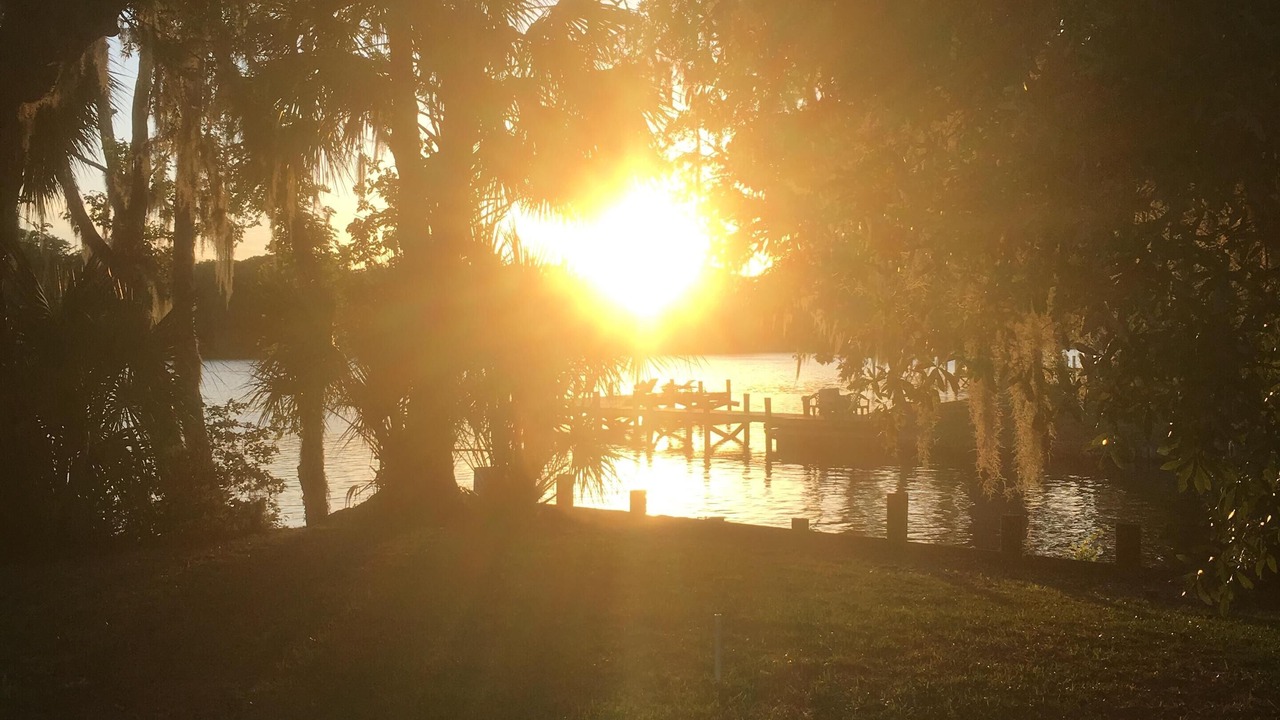 Photo of Others in Satsuma