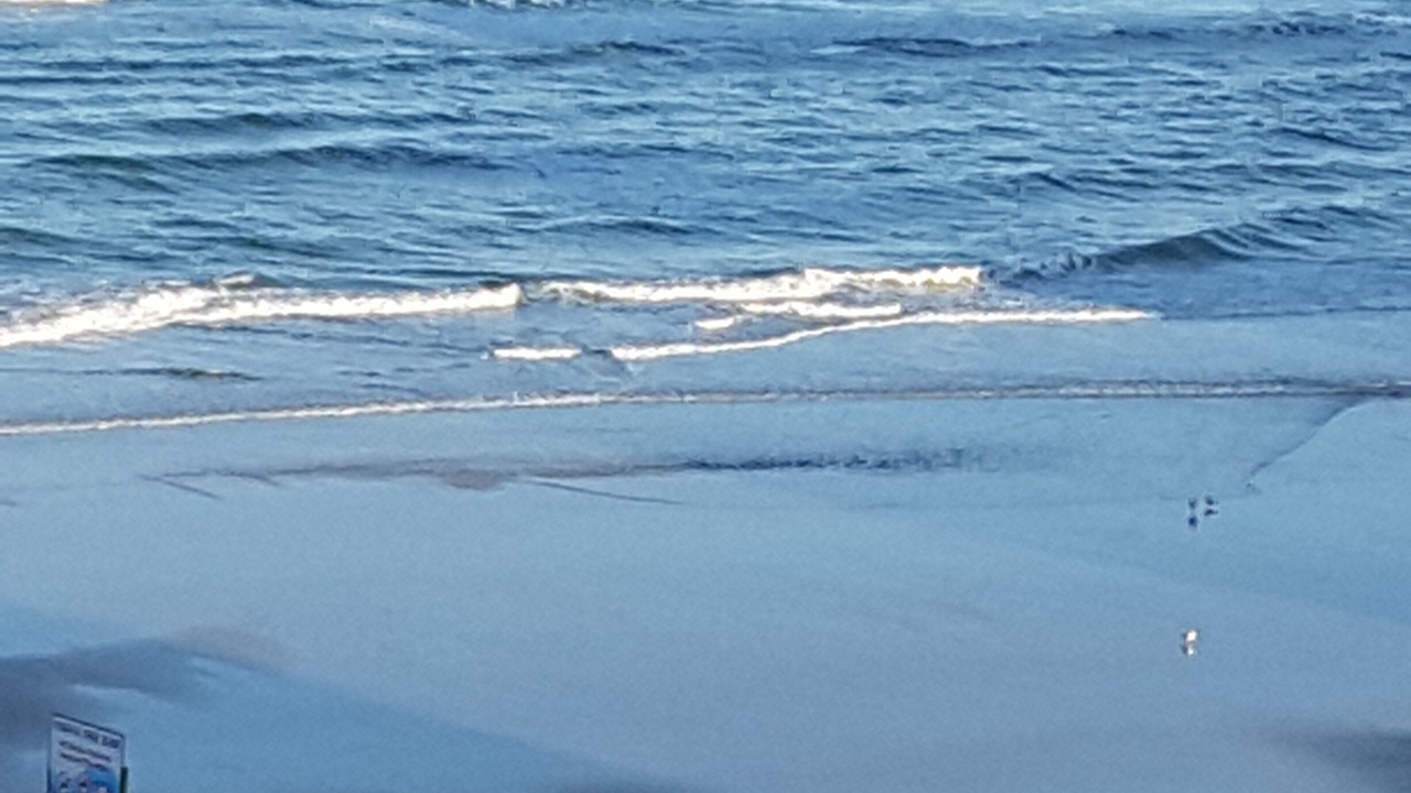 Photo of Others in Daytona Beach Shores