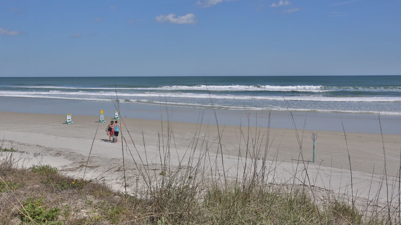 Photo of Others in Daytona Beach Shores