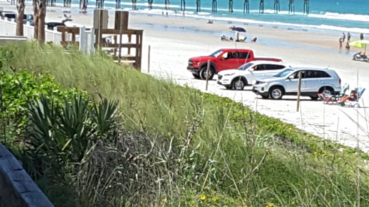 Photo of Others in Daytona Beach Shores