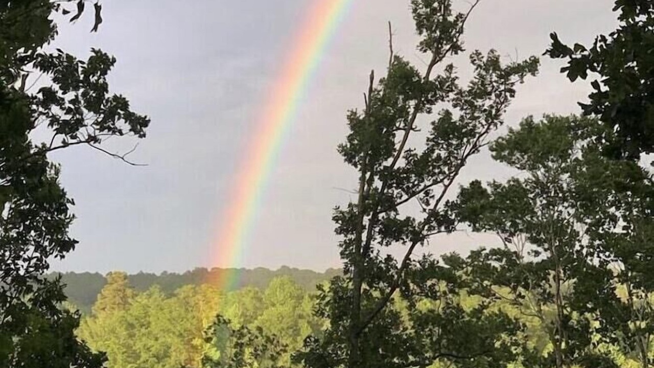 Photo of Others in Wedowee