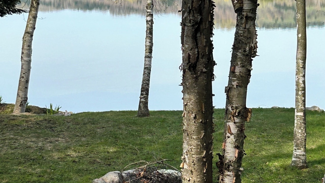 Photo of Others in Lake Leelanau