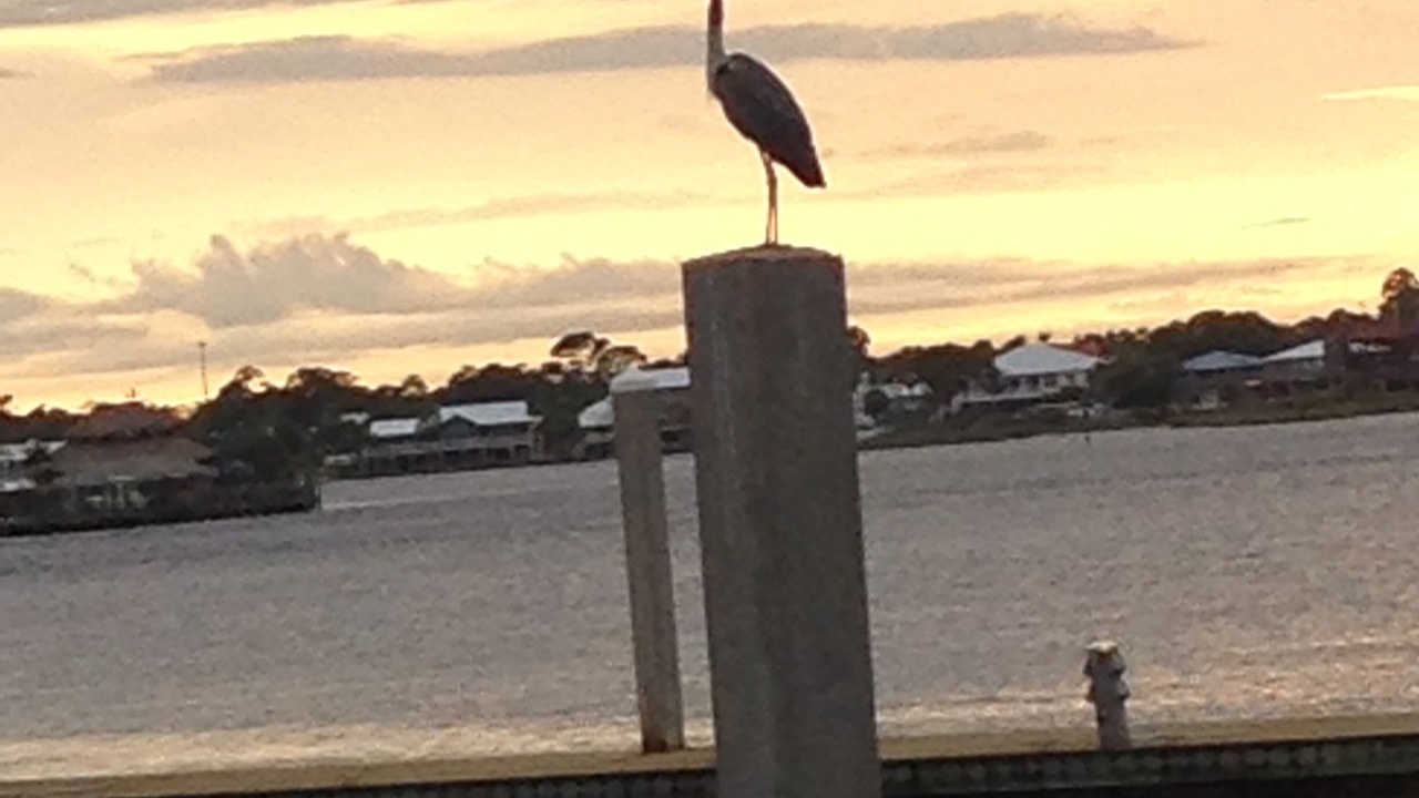 Photo of Others in Orange Beach