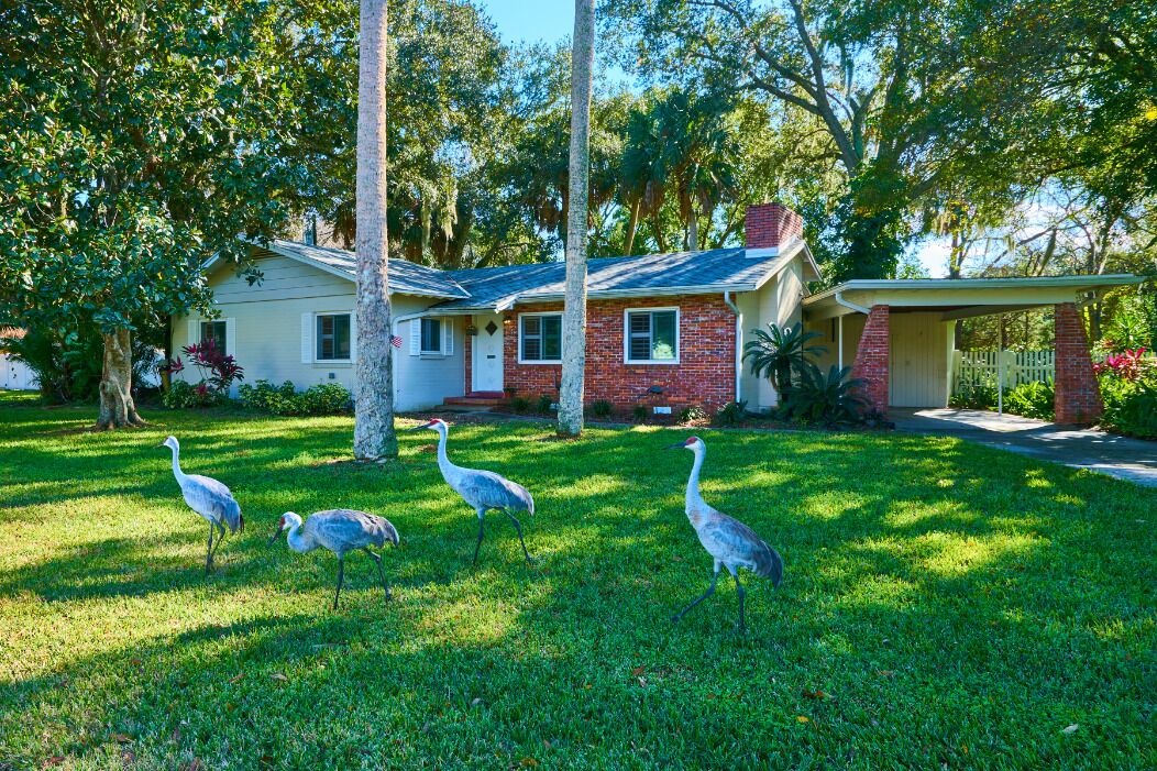 Photo of Outdoor in Sanford