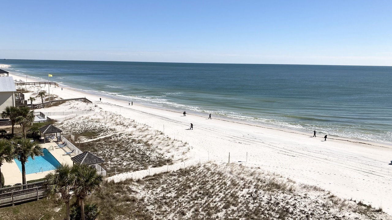 Photo of Others in Gulf Shores
