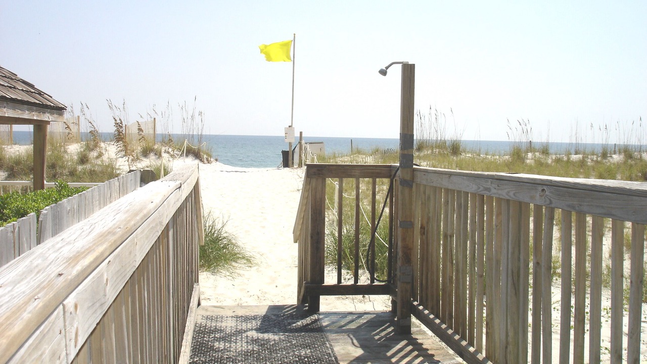 Photo of Others in Gulf Shores