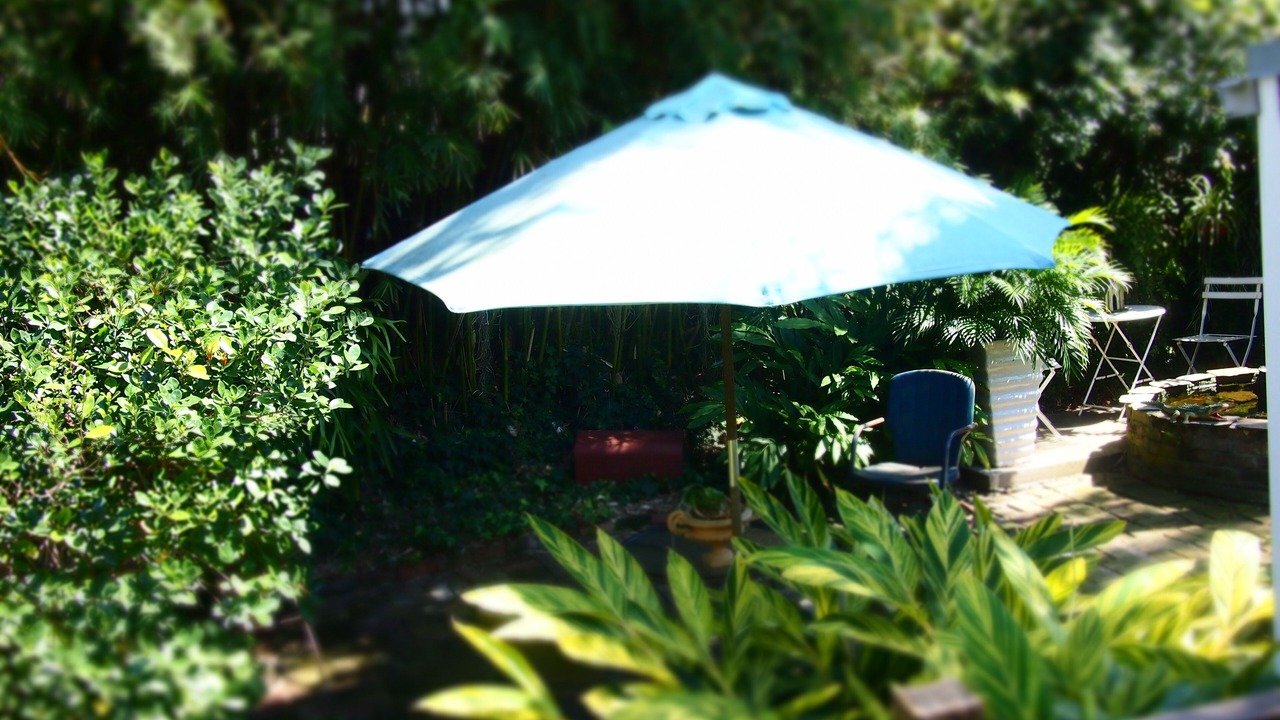 Photo of Outdoor in West Riverside