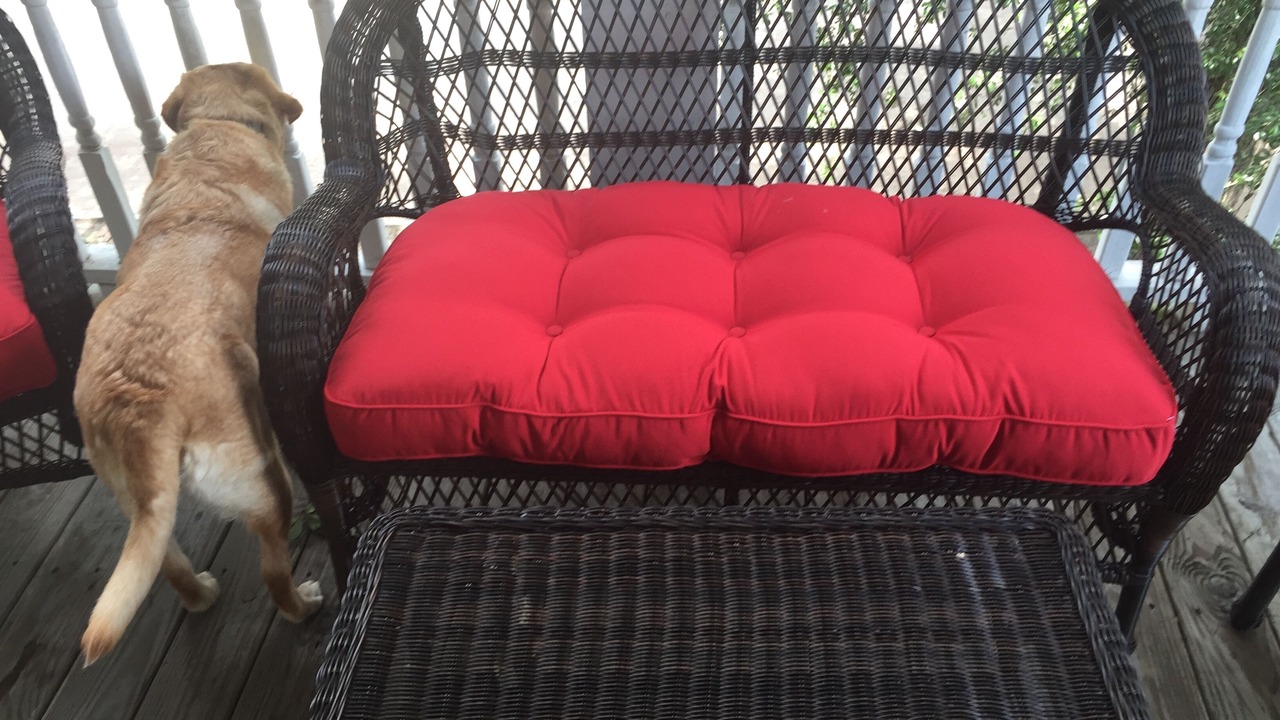 Photo of Patio Balcony in Historic Downtown Savannah