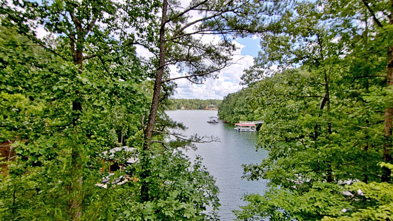 Photo of Outdoor in Wedowee