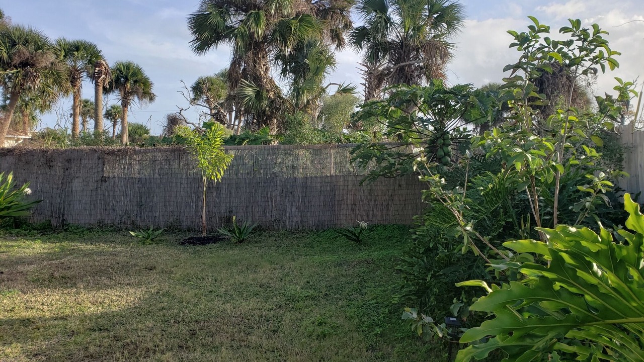 Photo of Others in Palm Coast