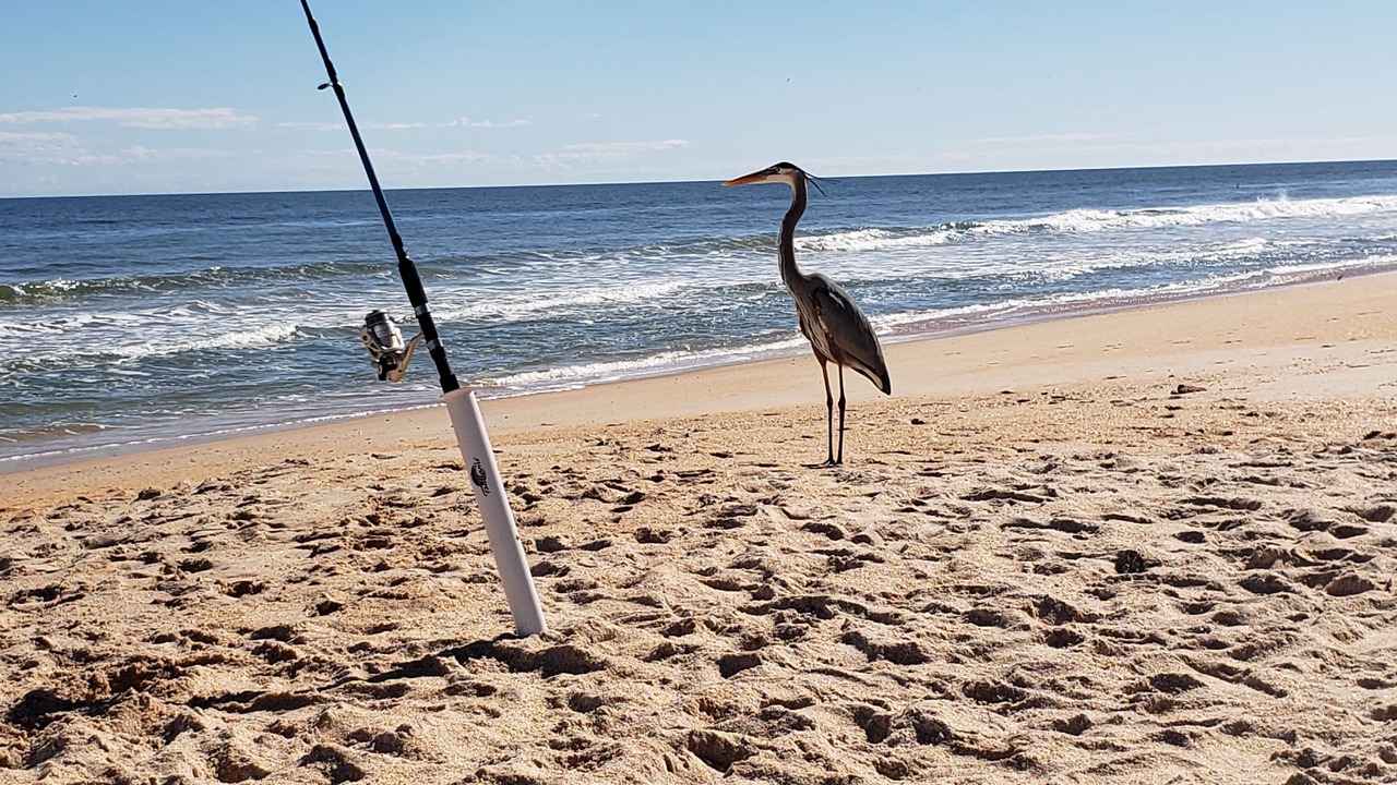 Photo of Others in Palm Coast