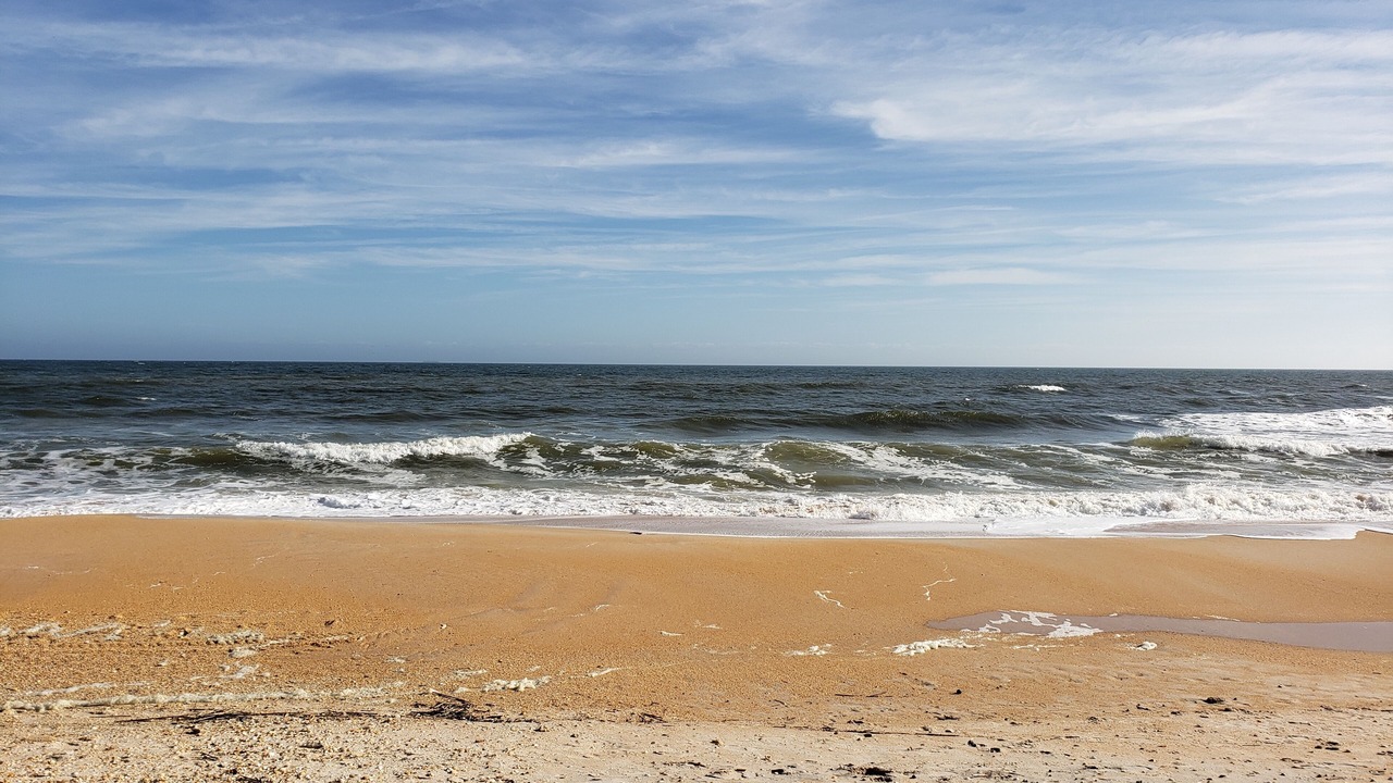Photo of Others in Palm Coast