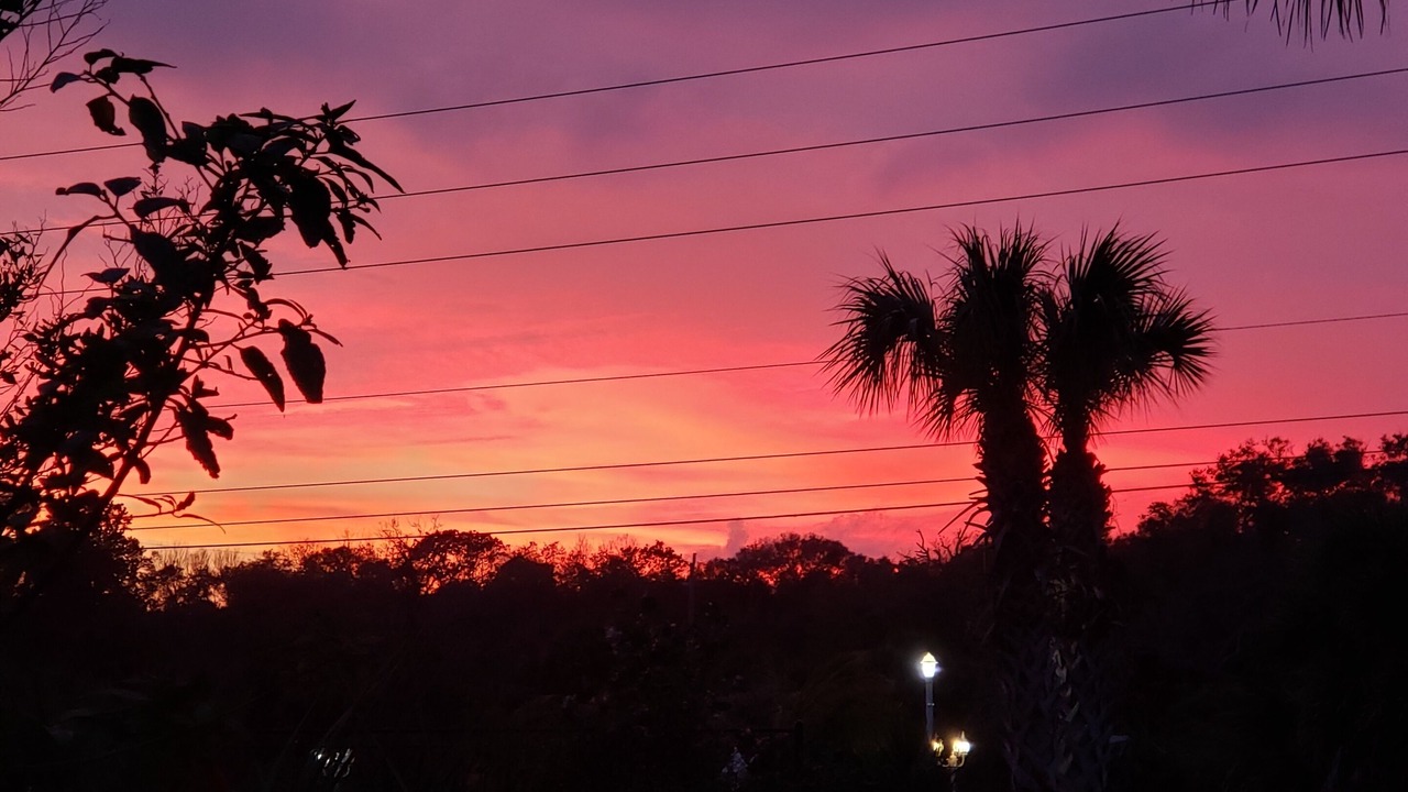 Photo of Others in Palm Coast