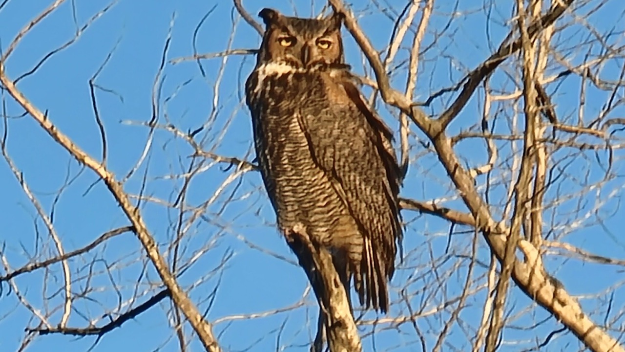 Photo of Outdoor in Palm Coast
