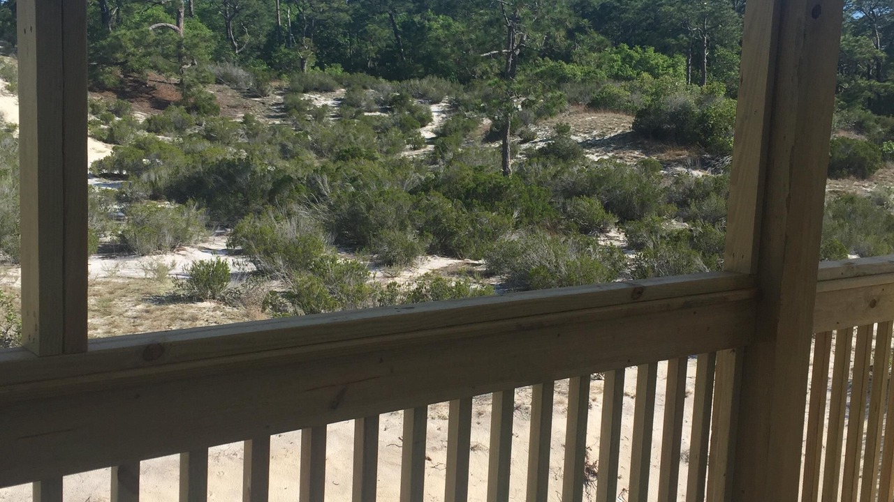 Photo of Others in Dauphin Island