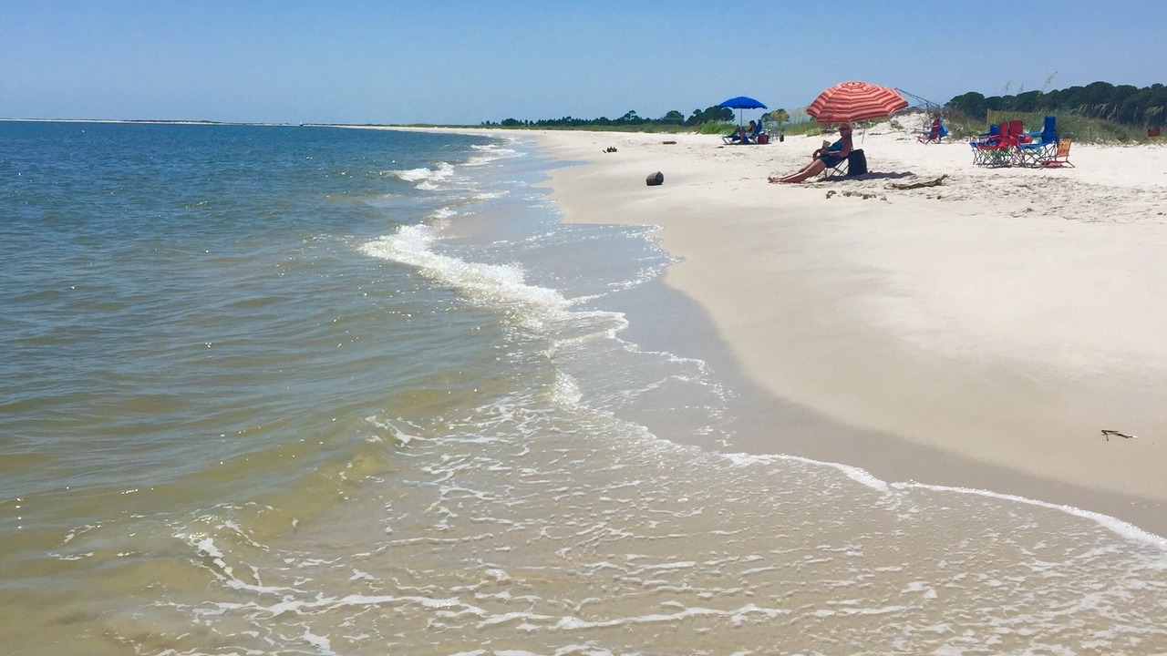 Photo of Others in Dauphin Island