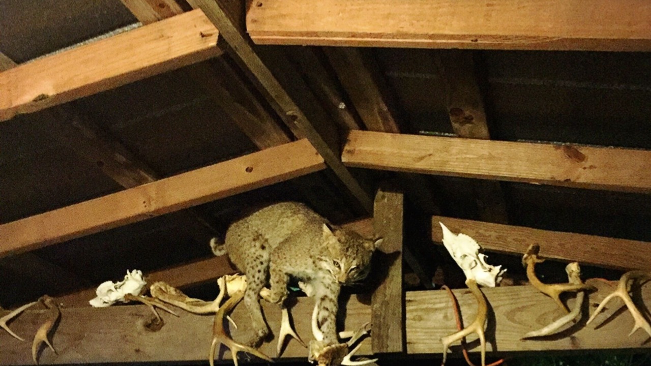 Photo of Others in Elrod