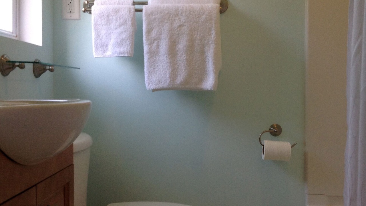 Photo of Bathroom in Dauphin Island