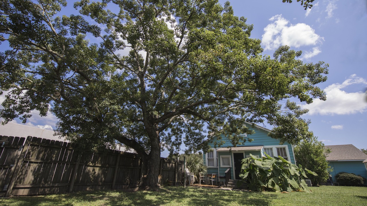 Photo of Outdoor in Foley