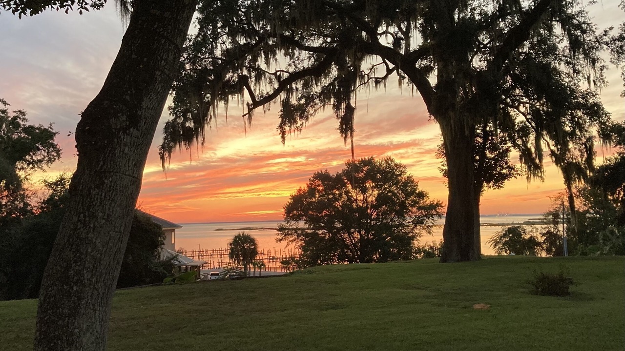Photo of Others in Daphne