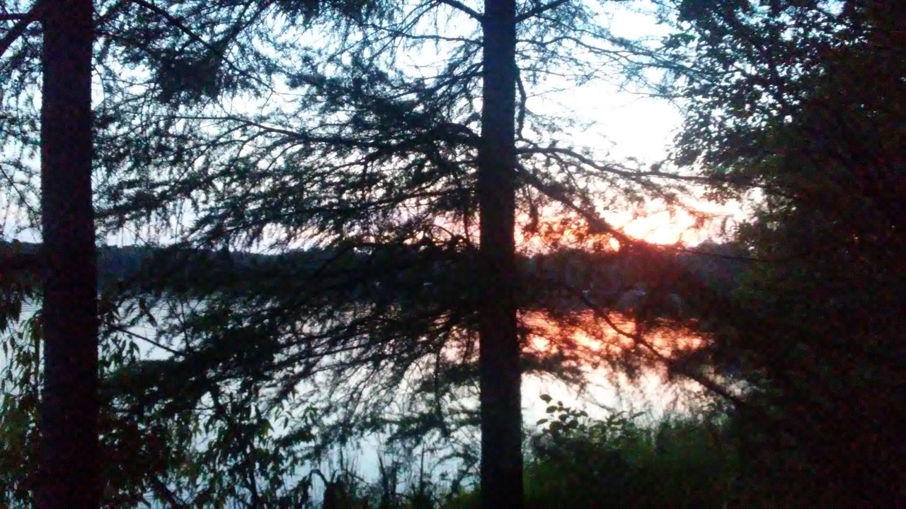 Photo of Outdoor in Kewadin