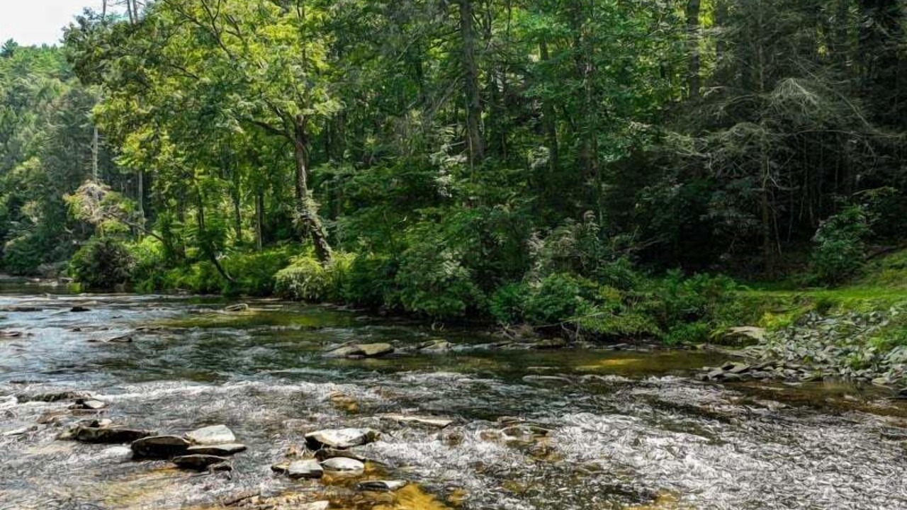 Photo of Others in Ellijay