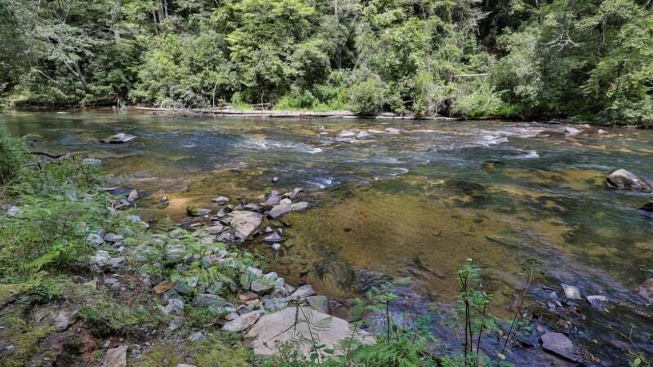 Photo of Others in Ellijay