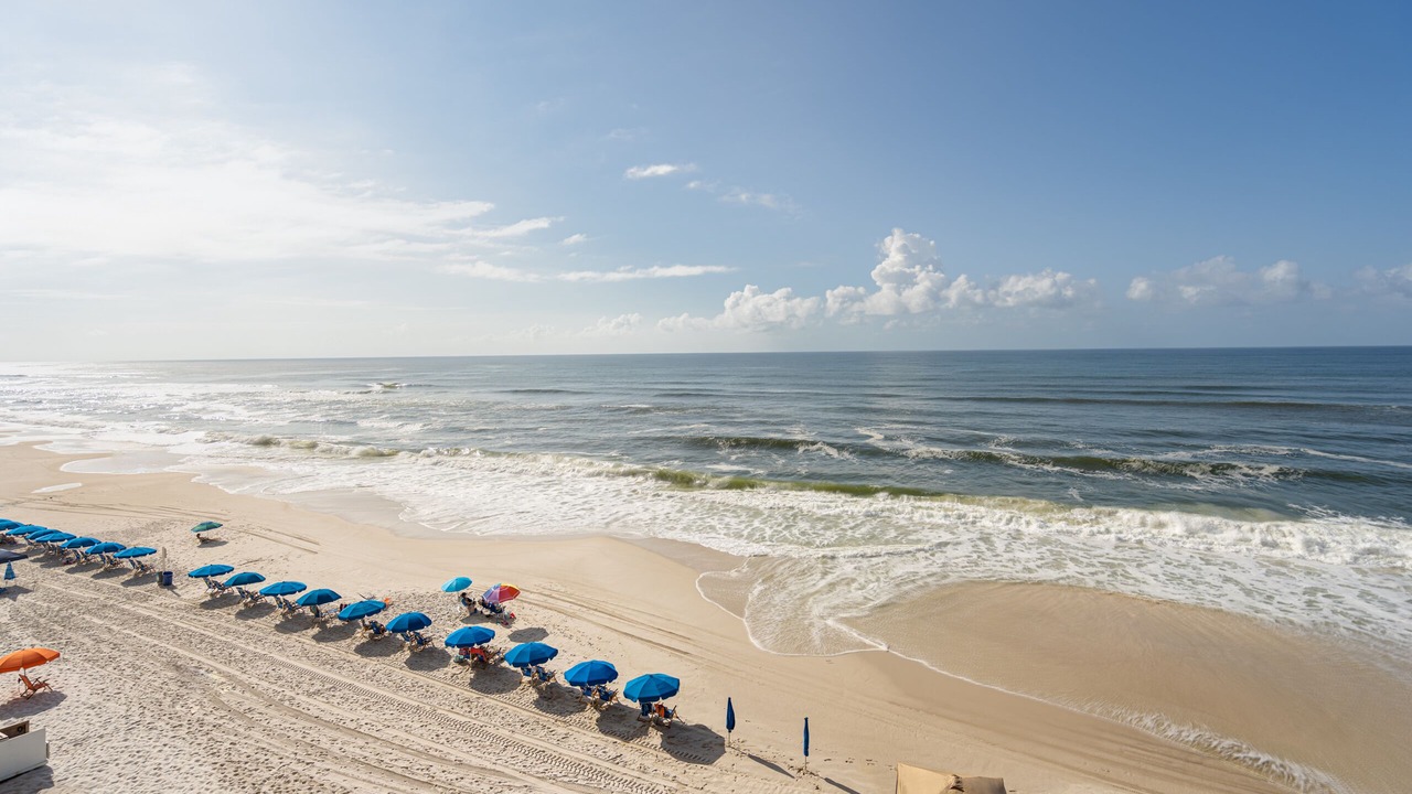 Photo of Others in Gulf Shores