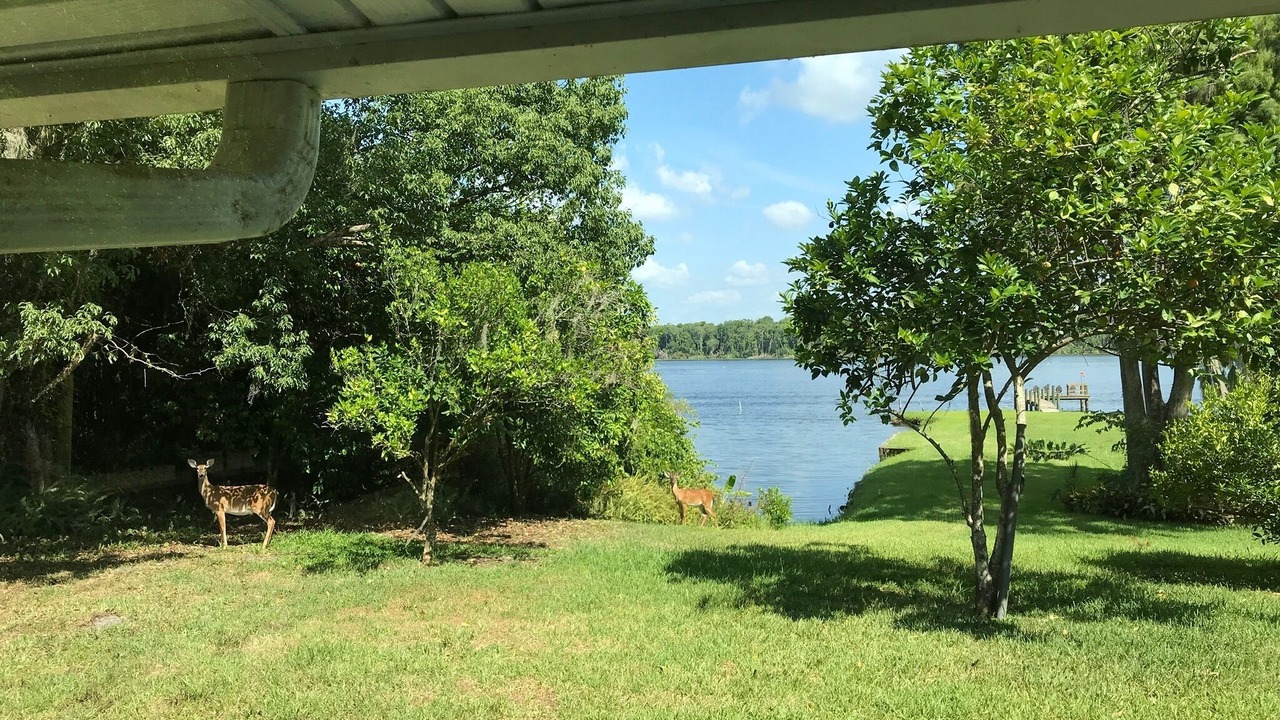 Photo of Outdoor in Welaka