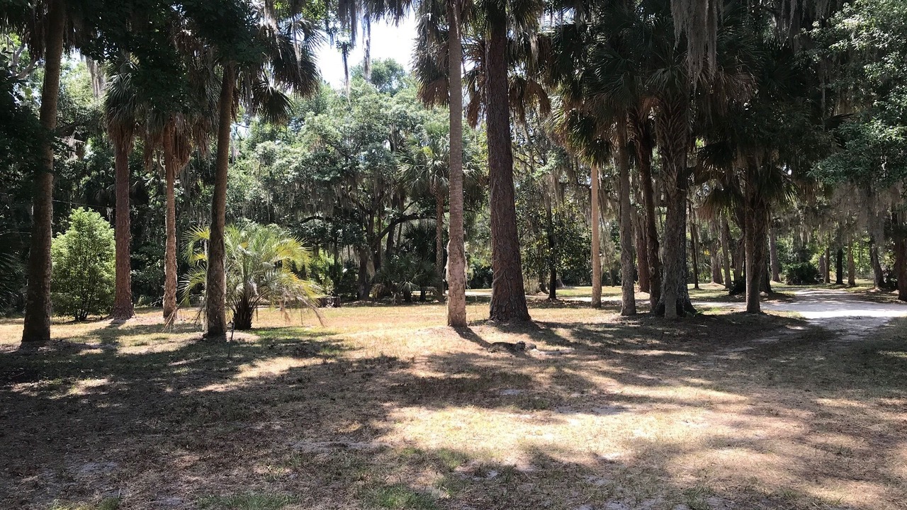 Photo of Outdoor in Welaka