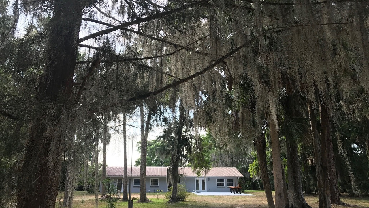Photo of Outdoor in Welaka