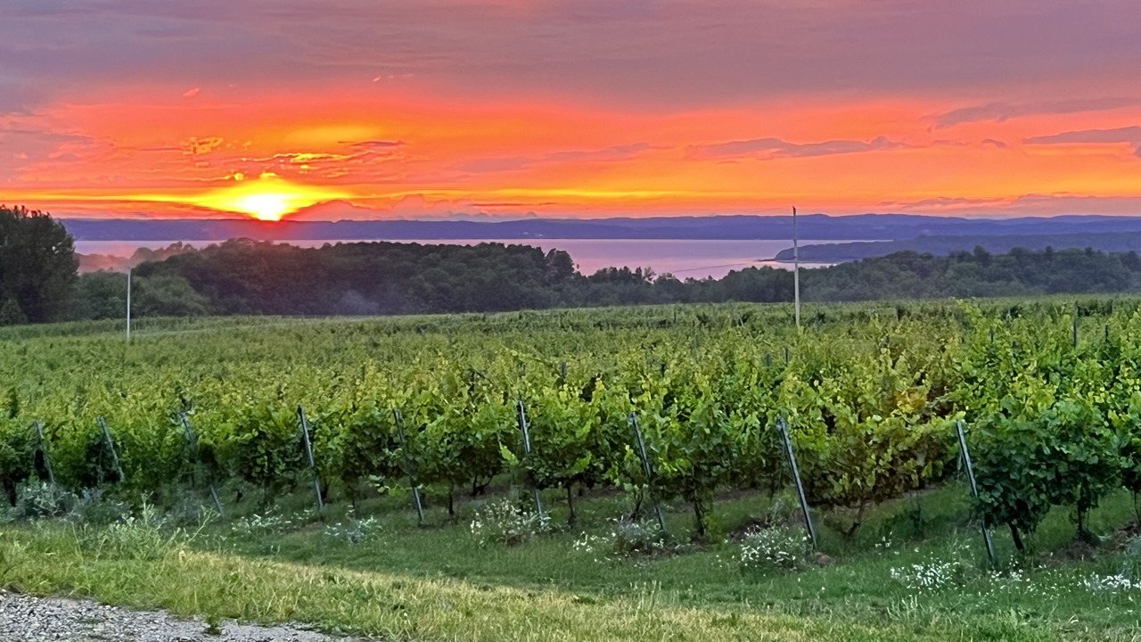 Photo of Others in Traverse City