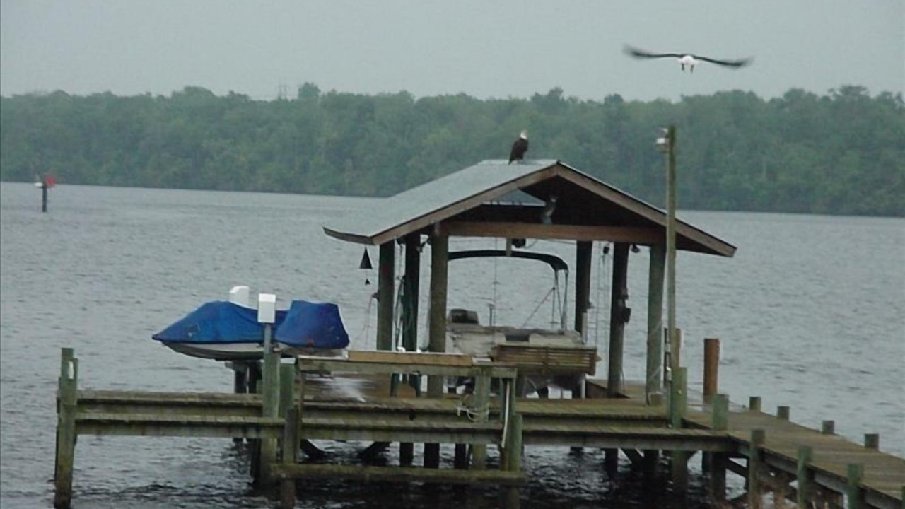 Photo of Outdoor in East Palatka