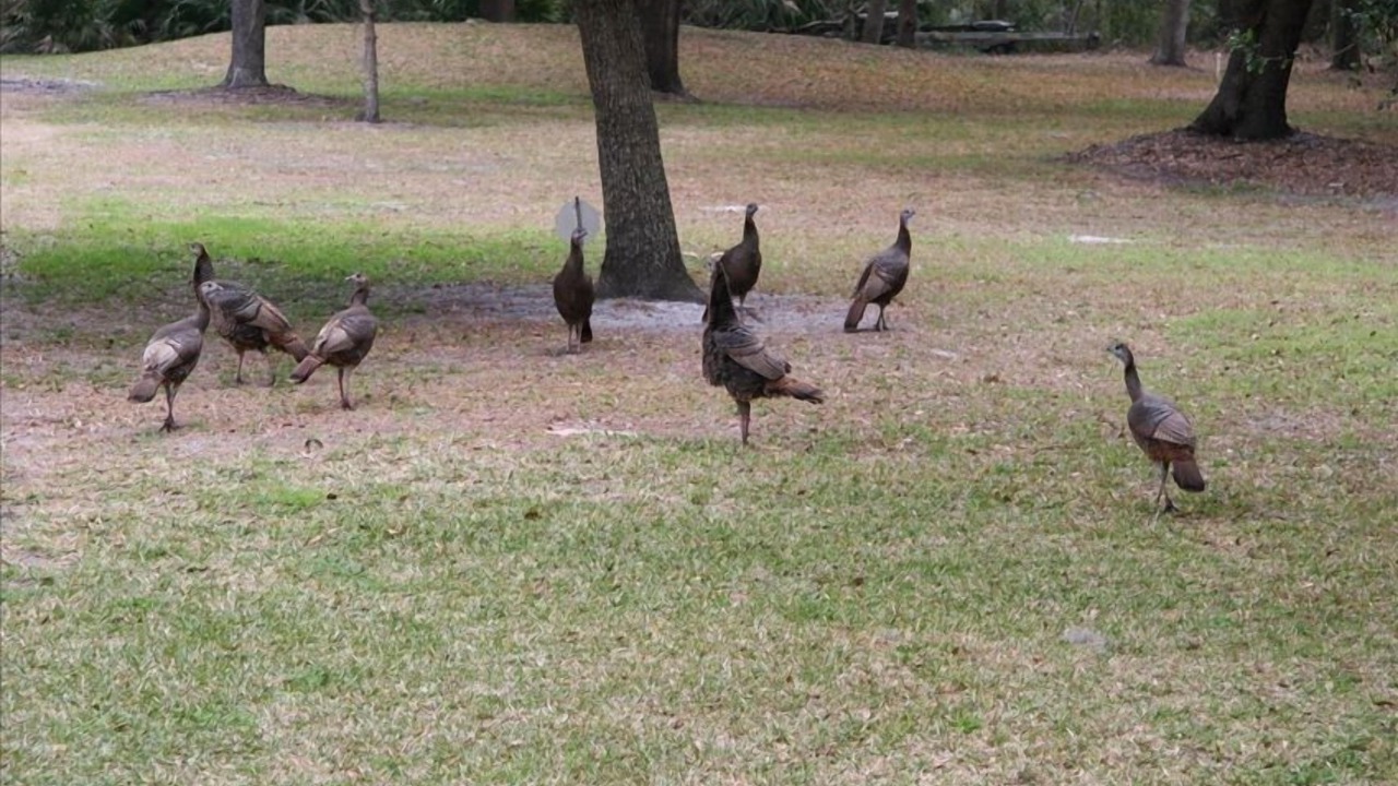 Photo of Others in East Palatka