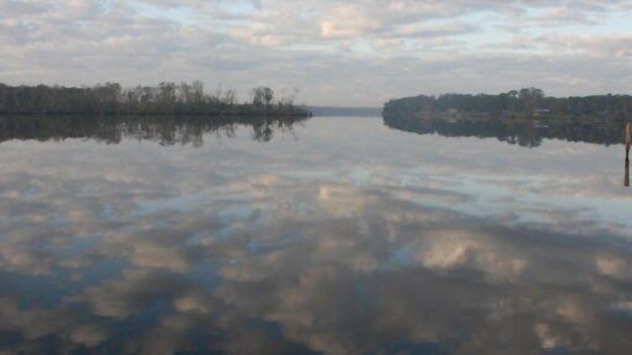 Photo of Others in East Palatka
