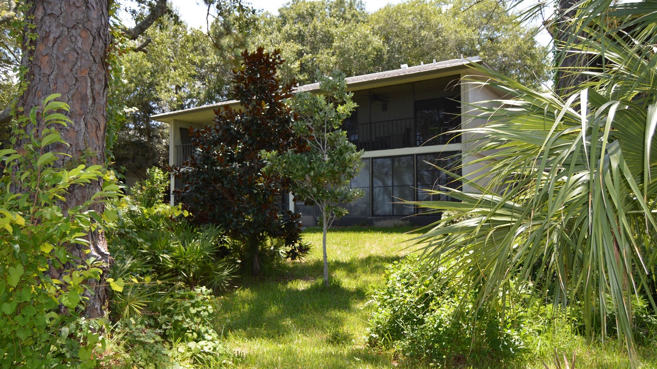 Photo of Outdoor in Saint Augustine Shores