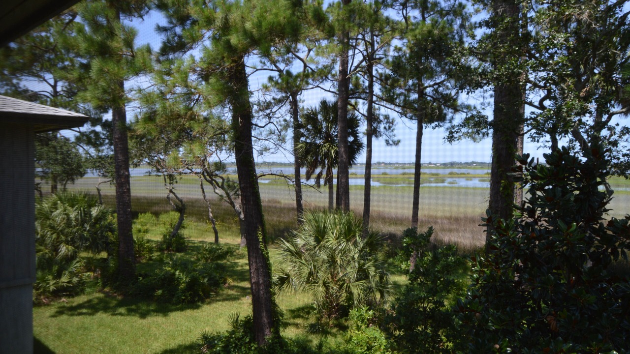 Photo of Others in Saint Augustine Shores