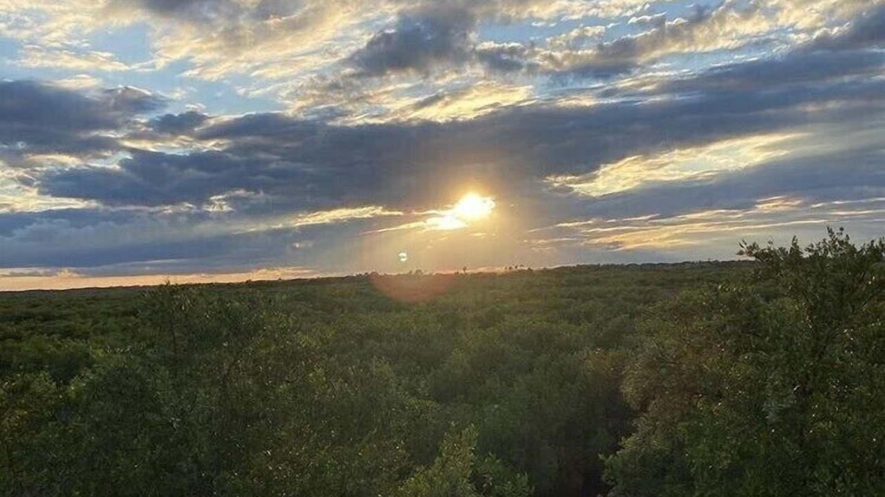 Photo of Outdoor in New Smyrna Beach